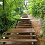 stopnice-na-ljubljanski-grad-ipe-lapacho